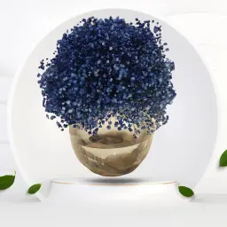 Blue Gypsophila Flower Sparkle on a Distinctive Glass Vase
